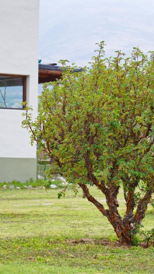 Apartamento Entre Montañas Tafí del Valle Exterior foto